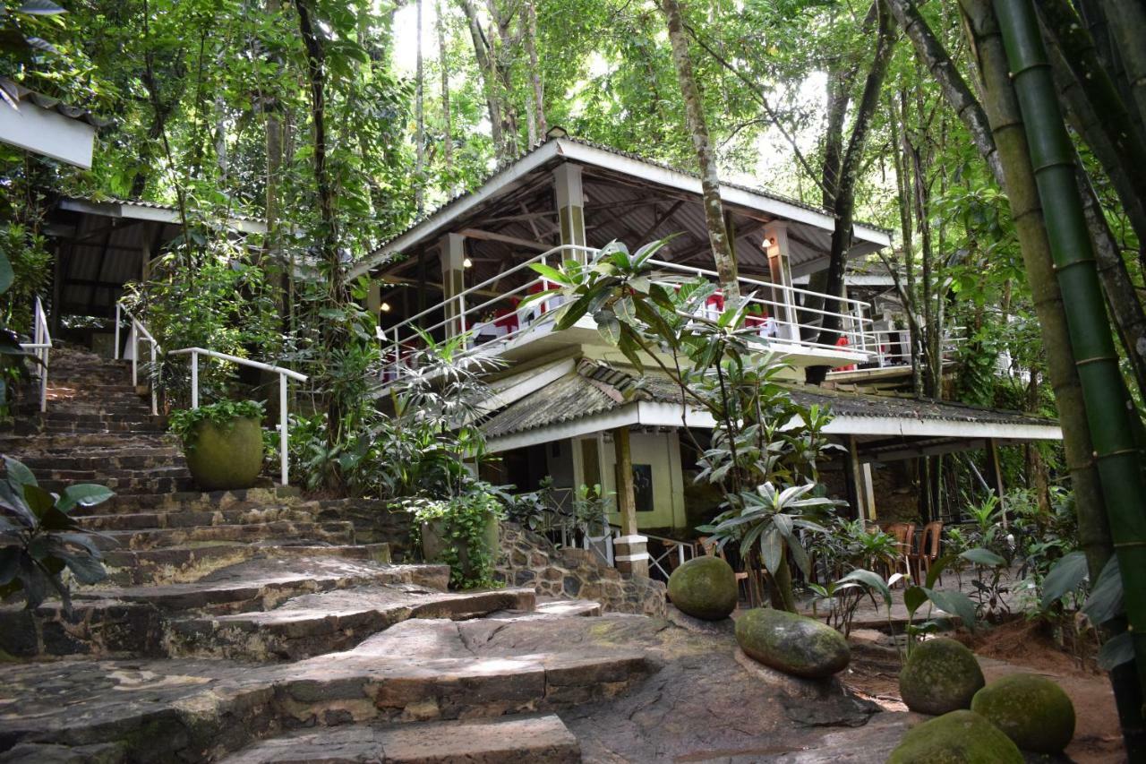 Helarambe Plantation Hotel المظهر الخارجي الصورة